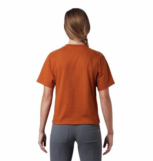 Remera Handhold Outlet