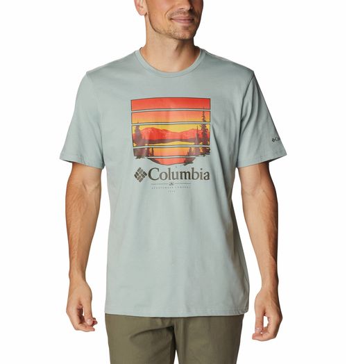 Remera Path Lakegraphic Tee II - Niagara Colorful Vista Graphic