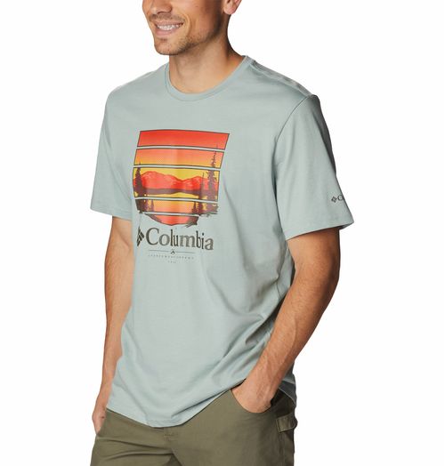 Remera Path Lakegraphic Tee II - Niagara Colorful Vista Graphic