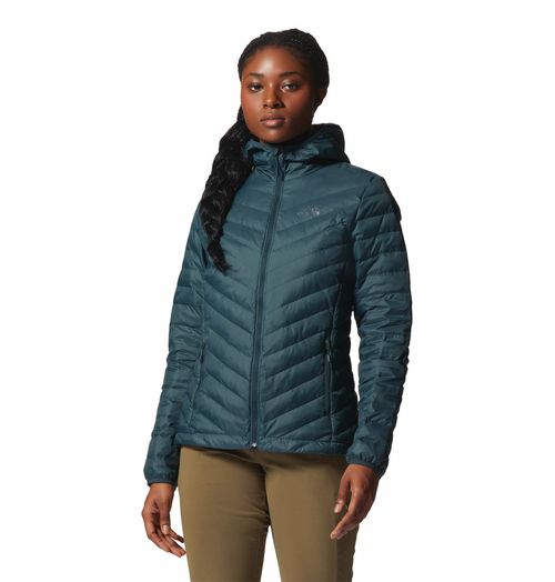 Campera Glen Alpine Down Capucha