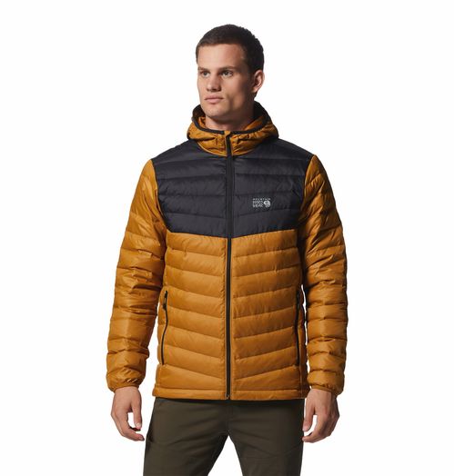 Campera Glen Alpine Down Hoody Underbrush Black