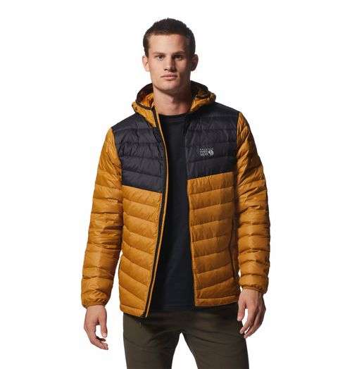 Campera Glen Alpine Down Hoody Underbrush Black
