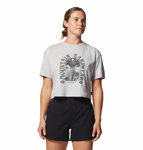 Remera Alpine Flowers Ss Tee