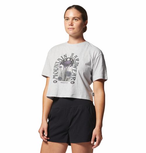 Remera Alpine Flowers Ss Tee