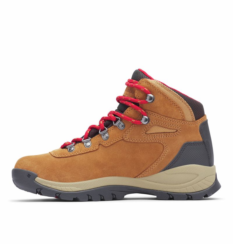 Zapatillas Columbia Newton Ridge Plus Waterproof Amped Mujer (elk 