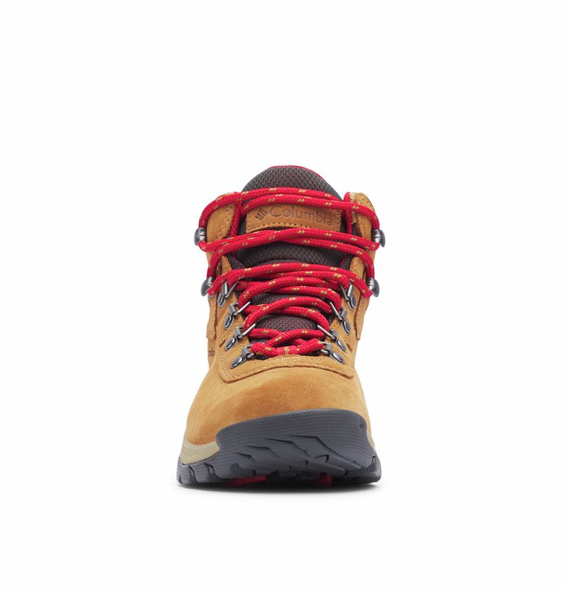 Zapatillas Columbia Newton Ridge Plus Waterproof Amped Mujer (elk 