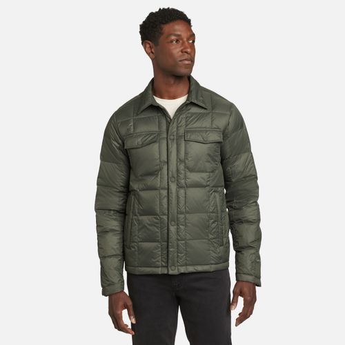 Campera Cirruslite Shirt Jac - Capers